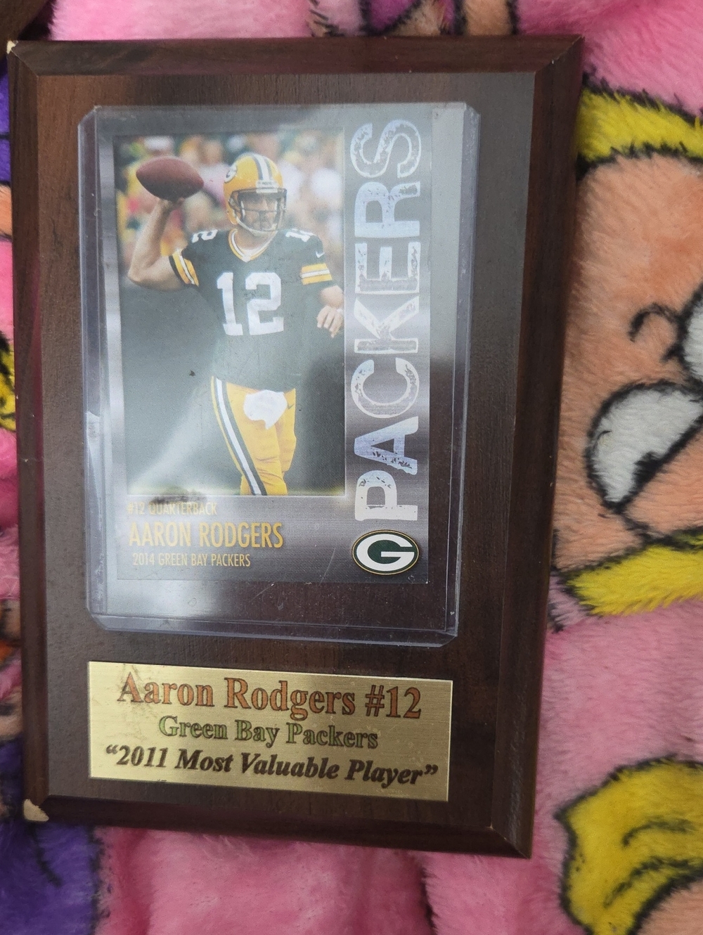 Aaron Rodgers #12 Green Bay Packers Plaque with Card